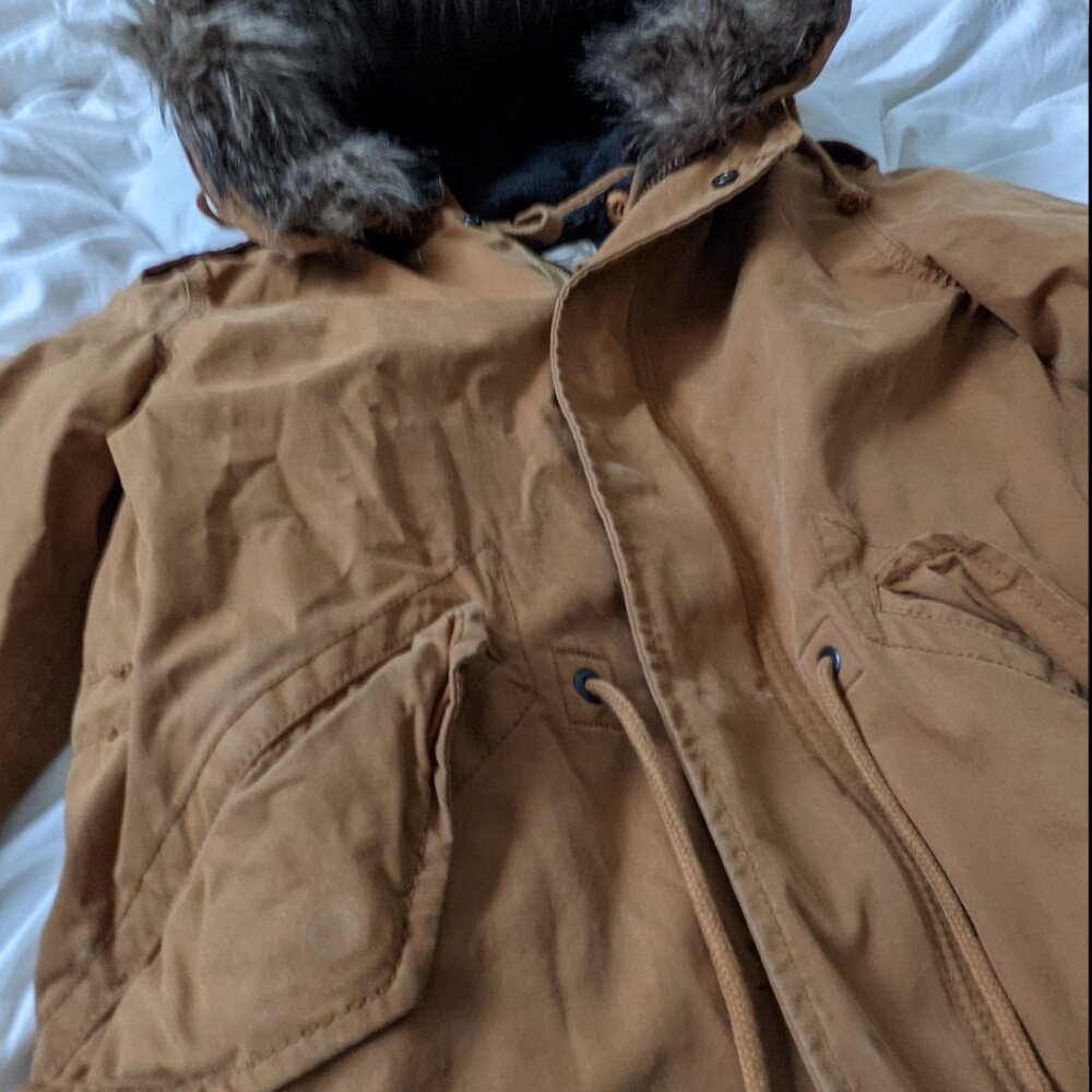 Aritzia TNA Britannia Parka removable liner and hood